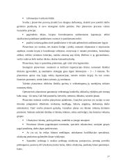 Individualios įmonės (IĮ) esmė, steigimas ir valdymas 17 puslapis