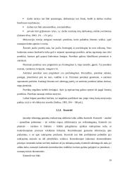 Individualios įmonės (IĮ) esmė, steigimas ir valdymas 19 puslapis