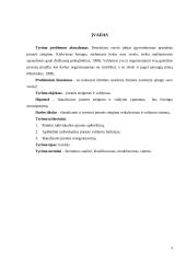 Individualios įmonės (IĮ) esmė, steigimas ir valdymas 3 puslapis