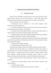 Individualios įmonės (IĮ) esmė, steigimas ir valdymas 6 puslapis