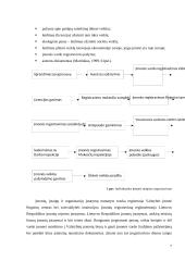 Individualios įmonės (IĮ) esmė, steigimas ir valdymas 7 puslapis