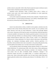 Individualios įmonės (IĮ) esmė, steigimas ir valdymas 8 puslapis