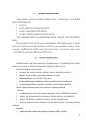 Individualios įmonės (IĮ) esmė, steigimas ir valdymas 9 puslapis