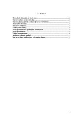 Individualusis karjeros planas  2 puslapis