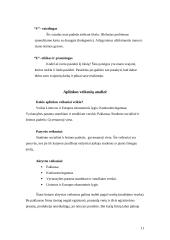 Individualusis karjeros planas  11 puslapis