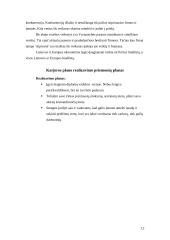 Individualusis karjeros planas  12 puslapis