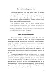 Individualusis karjeros planas  3 puslapis