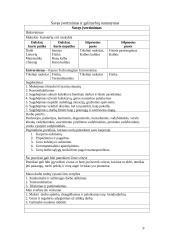 Individualusis karjeros planas  9 puslapis