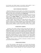 Nuostatos ir stereotipai 12 puslapis