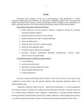 Inertinių medžiagų vežimo organizavimas 3 puslapis