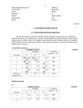 Inertinių medžiagų vežimo organizavimas 10 puslapis