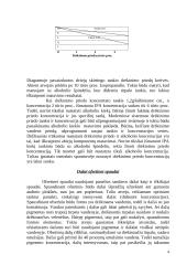 Ofsetas. Spaudos proceso esmė ir ypatumai 4 puslapis