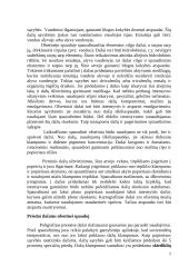 Ofsetas. Spaudos proceso esmė ir ypatumai 5 puslapis