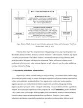 Organizacijos kultūros formavimas, išsaugojimas, keitimas ir struktūra 13 puslapis