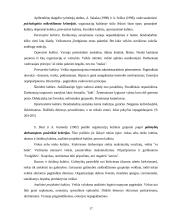 Organizacijos kultūros formavimas, išsaugojimas, keitimas ir struktūra 17 puslapis