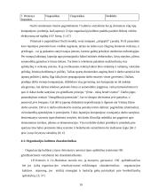 Organizacijos kultūros formavimas, išsaugojimas, keitimas ir struktūra 19 puslapis