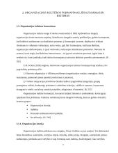 Organizacijos kultūros formavimas, išsaugojimas, keitimas ir struktūra 7 puslapis