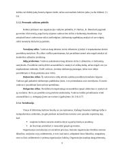 Organizacijos kultūros formavimas, išsaugojimas, keitimas ir struktūra 9 puslapis