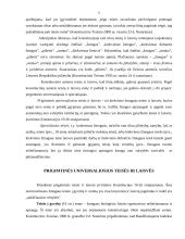 Pagrindinės žmogaus teisės, laisvės ir pareigos Lietuvos Respublikos Konstitucijoje 5 puslapis