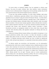 Infliacija ir su infliacija susiję klausimai 2 puslapis