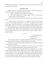 Infliacija ir su infliacija susiję klausimai 17 puslapis
