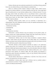 Infliacija ir su infliacija susiję klausimai 18 puslapis