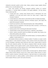 Infliacija ir su infliacija susiję klausimai 7 puslapis