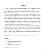 Infliacija: priežastys ir mažinimo būdai 2 puslapis