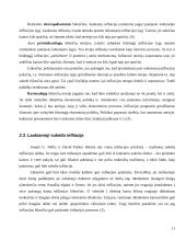 Infliacija: priežastys ir mažinimo būdai 11 puslapis