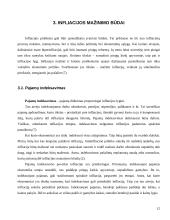 Infliacija: priežastys ir mažinimo būdai 12 puslapis
