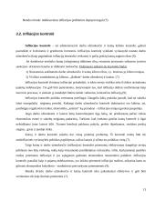 Infliacija: priežastys ir mažinimo būdai 13 puslapis