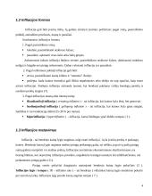 Infliacija: priežastys ir mažinimo būdai 4 puslapis