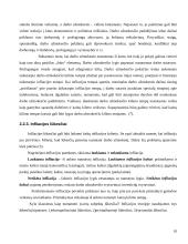 Infliacija: priežastys ir mažinimo būdai 10 puslapis