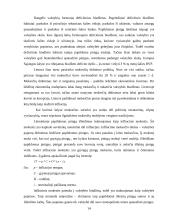 Infliacija. Infliacijos formos 14 puslapis