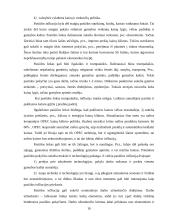 Infliacija. Infliacijos formos 16 puslapis
