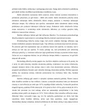 Infliacija. Infliacijos formos 17 puslapis
