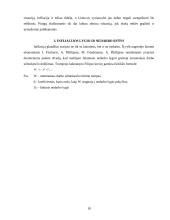 Infliacija. Infliacijos formos 18 puslapis