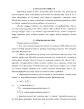 Infliacija. Infliacijos formos 4 puslapis