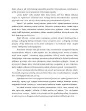Infliacija. Infliacijos formos 8 puslapis