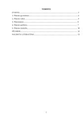 Platonas. Jo filosofijos pagrindiniai bruožai 2 puslapis