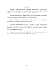 Platonas. Jo filosofijos pagrindiniai bruožai 13 puslapis