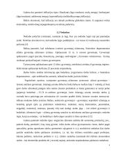 Infliacijos ir nedarbo tarpusavio priklausomybės trumpalaikė analizė 4 puslapis