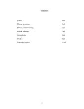 Platono pažinimo teorija 2 puslapis