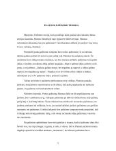 Platono pažinimo teorija 5 puslapis