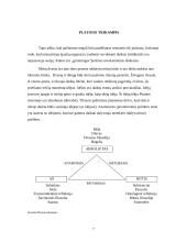 Platono pažinimo teorija 7 puslapis