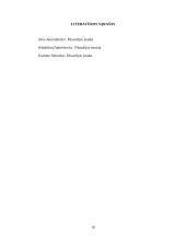 Platono pažinimo teorija 10 puslapis