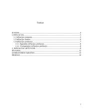 Infliacijos kitimo analizė Lietuvoje 2 puslapis