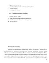 Infliacijos kitimo analizė Lietuvoje 7 puslapis