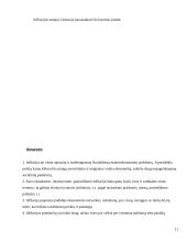 Infliacijos kitimo analizė Lietuvoje 10 puslapis