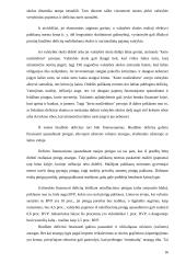 Infliacijos problemos 16 puslapis